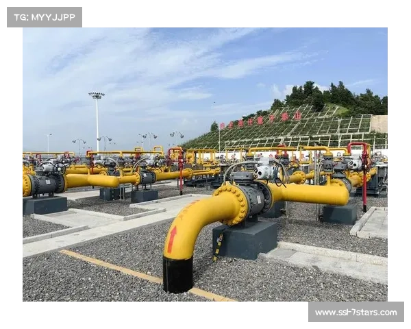准东煤制天然气管道干线工程正式开工建设推动能源供应链优化升级 准东煤制天然气管道干线工程正式开工建设推动能源供应链优化升级